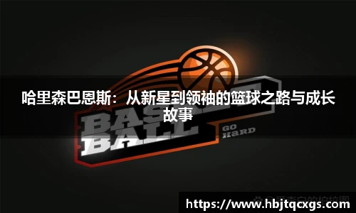 今年会平台入口