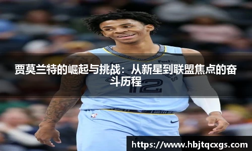 今年会平台入口