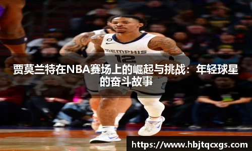 今年会官网